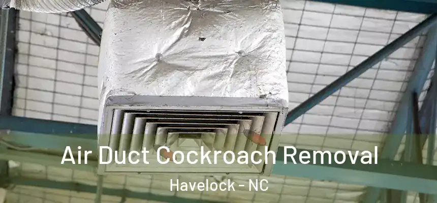 Air Duct Cockroach Removal Havelock - NC