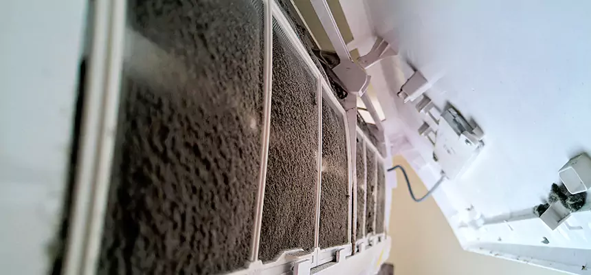 Preventive Air Duct Bacteria Removal in Havelock