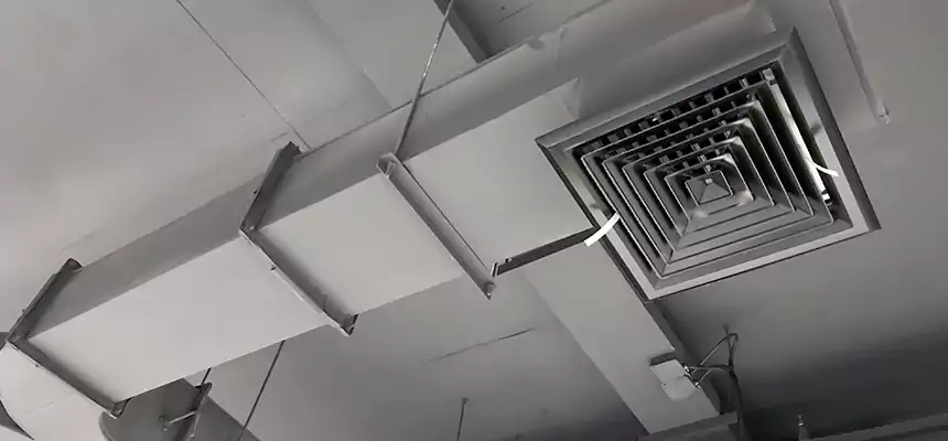 Restorative Allergy Relief Vent Cleaning – Coil, Blower & Housing Detail in Havelock