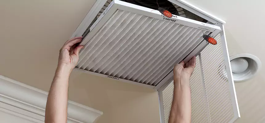 Our Insect Removal from Air Ducts Services in Havelock, NC