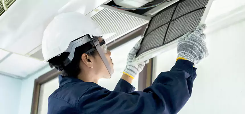 Our Mold & Mildew Removal from Air Ducts Services in Havelock, NC