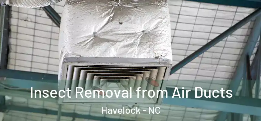  Insect Removal from Air Ducts Havelock - NC