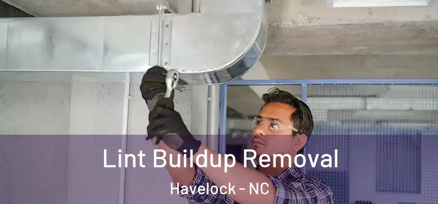  Lint Buildup Removal Havelock - NC