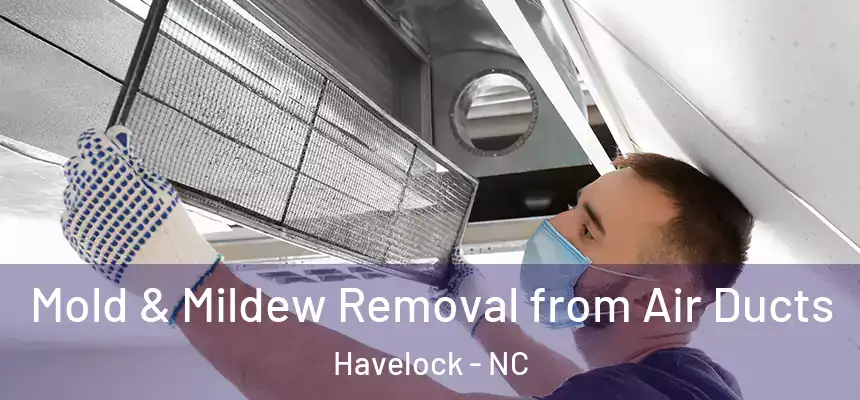 Mold & Mildew Removal from Air Ducts Havelock - NC