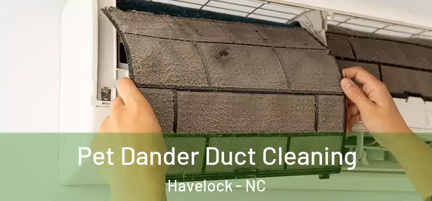  Pet Dander Duct Cleaning Havelock - NC