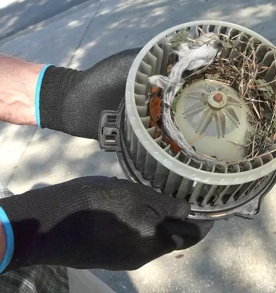 About Air Duct Mice Removal in Havelock, NC