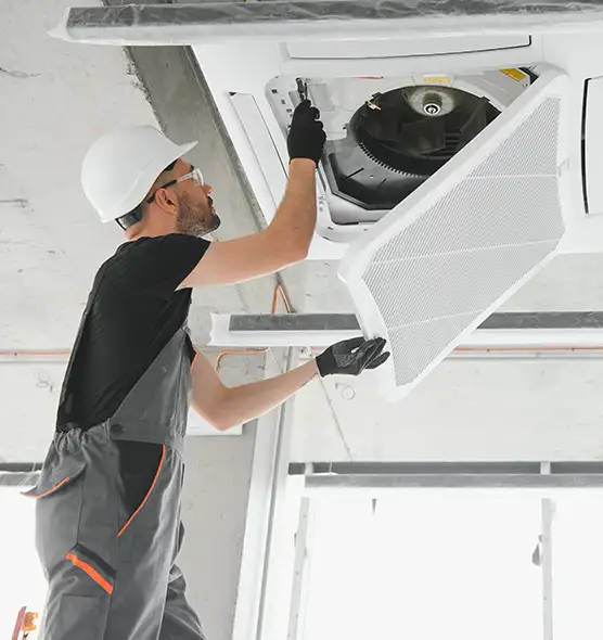 About Air Duct Rodent Removal in Havelock, NC