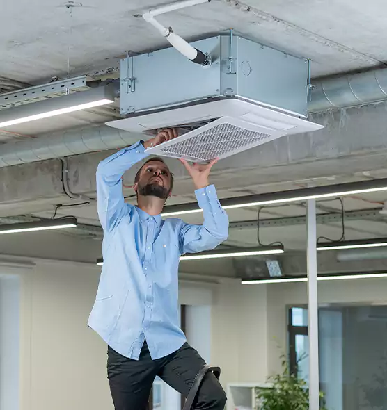 Advanced Rodent Droppings In Vents in Havelock, NC