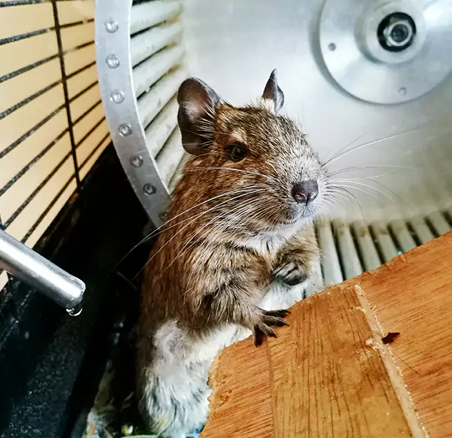 Why Homeowners & Businesses Trust Us Havelock, NC