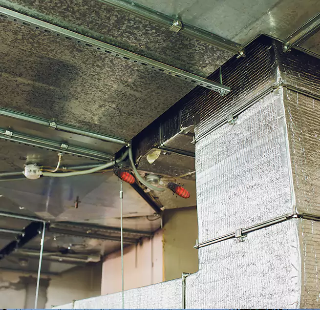 Why Homeowners & Businesses Trust Us Havelock, NC?