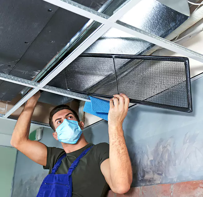 Why Homeowners & Businesses Trust Us in Havelock, NC?